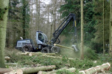 Devon Forestry Planning